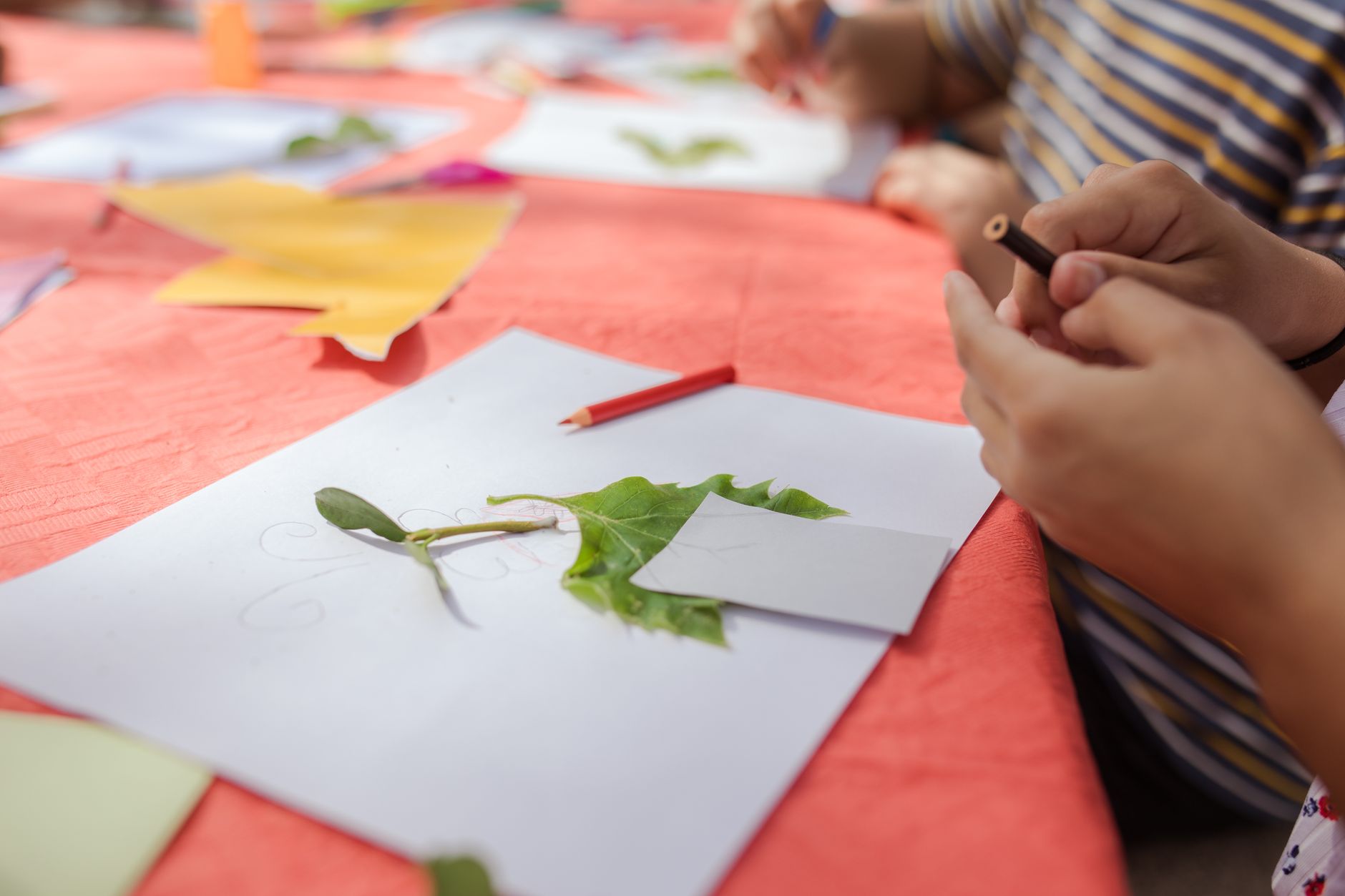 Children engaging in a creative art activity, making leaf art during summer camp.